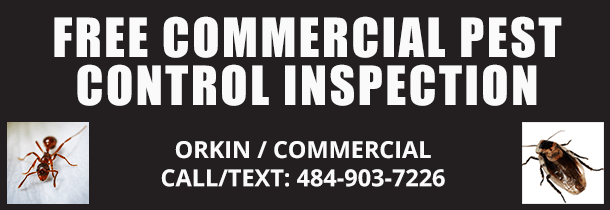 Deep Industrial Knowledge & Absolute Confidence In Pest Control! Rodent, Cockroach, Flies, Spiders, Ants, Birds, Odors.