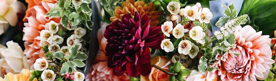 Florists, Floral Arrangements, Bouquets in the Sellersville, Bucks County PA area